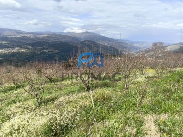 Buildable Plot Of 7,959 M² In Residential And/or Investment Location