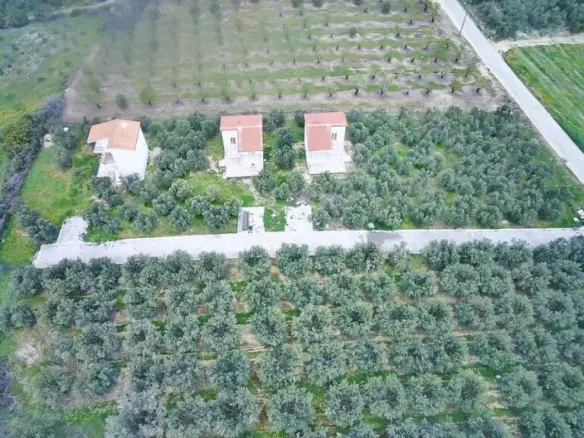 Complex In Orfano, Greece (195 M²)