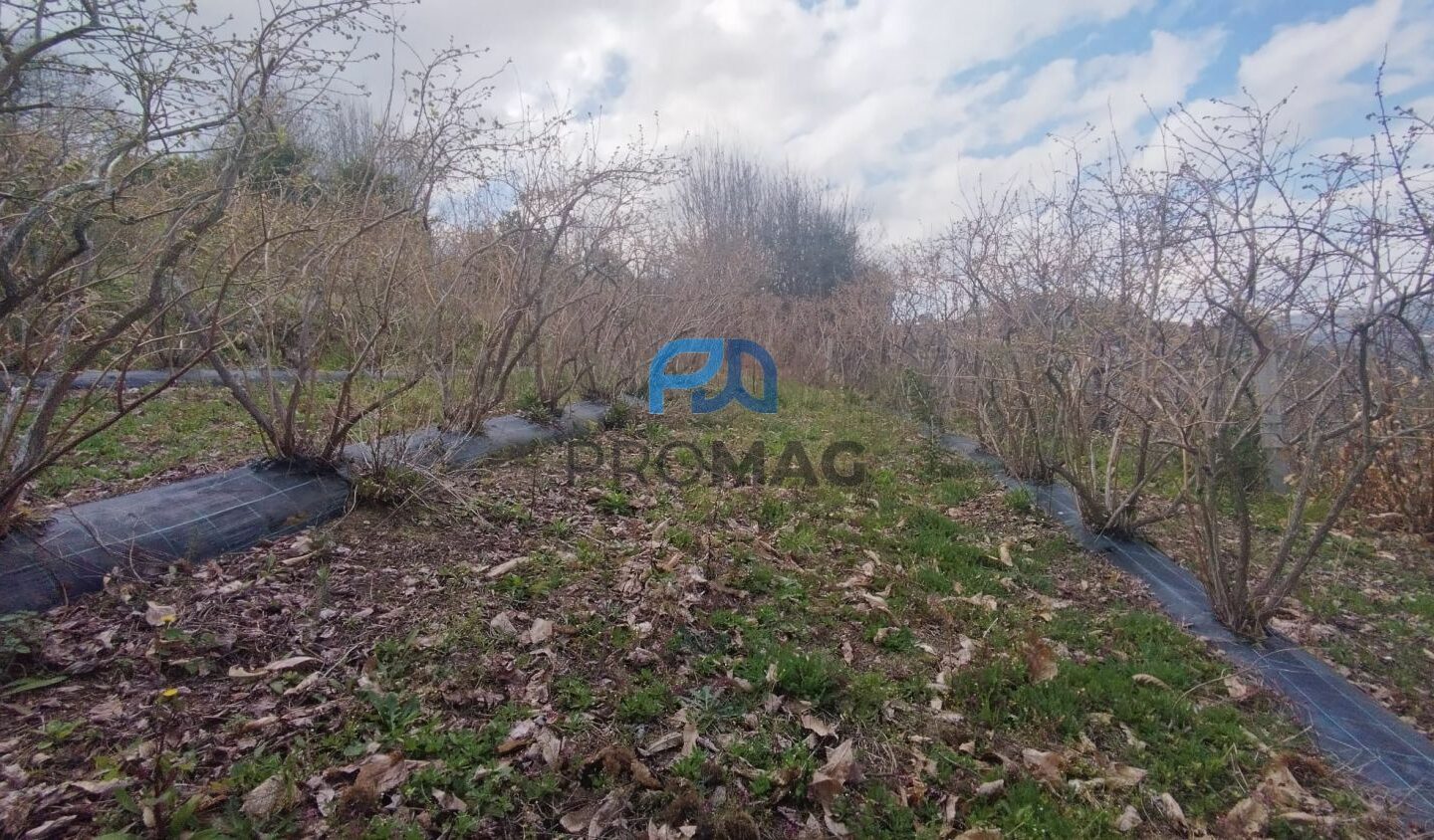 Buildable Plot Of 7,959 M² In Residential And/or Investment Location