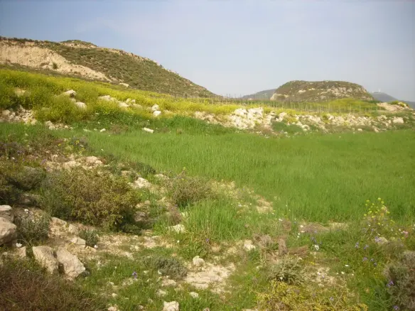 Land In Gortina, Greece