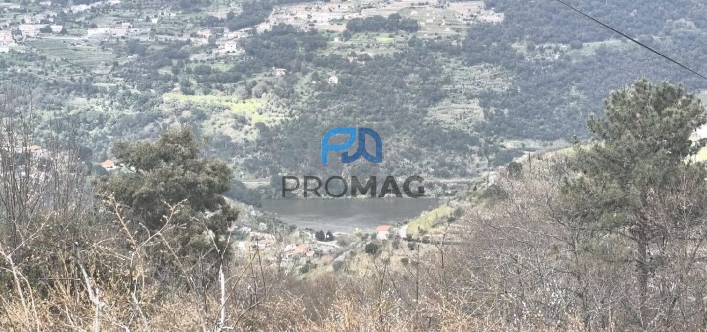 Buildable Plot Of 7,959 M² In Residential And/or Investment Location