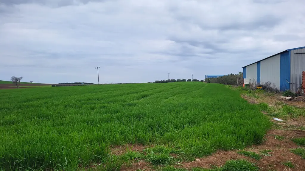 Land Of 13310 M² In Kassandra, Chalkidiki
