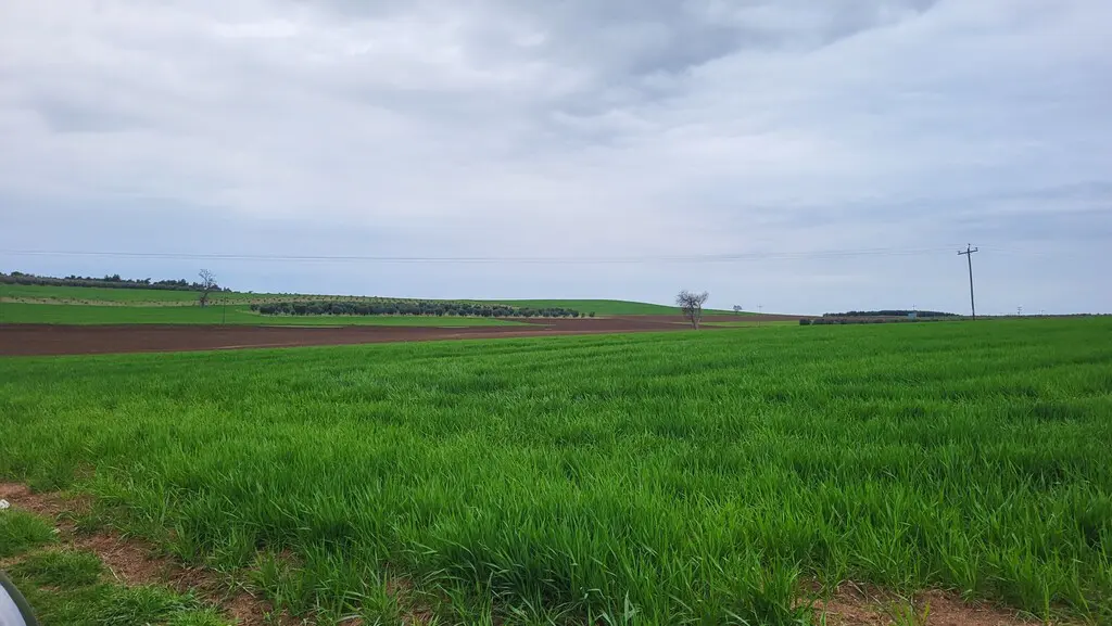 Land Of 13310 M² In Kassandra, Chalkidiki