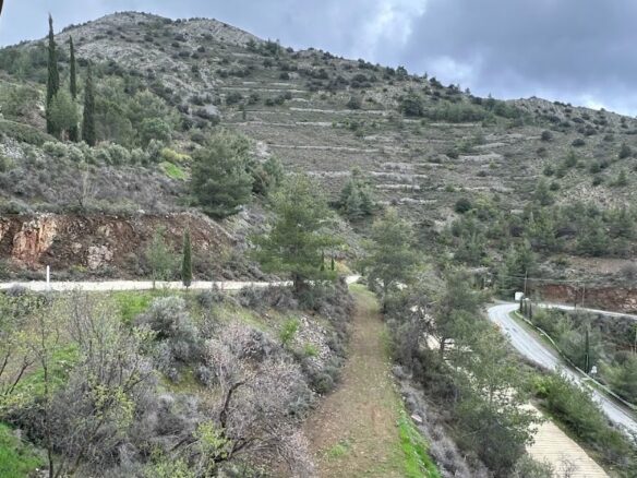 Traditional House Of X In Fikardou