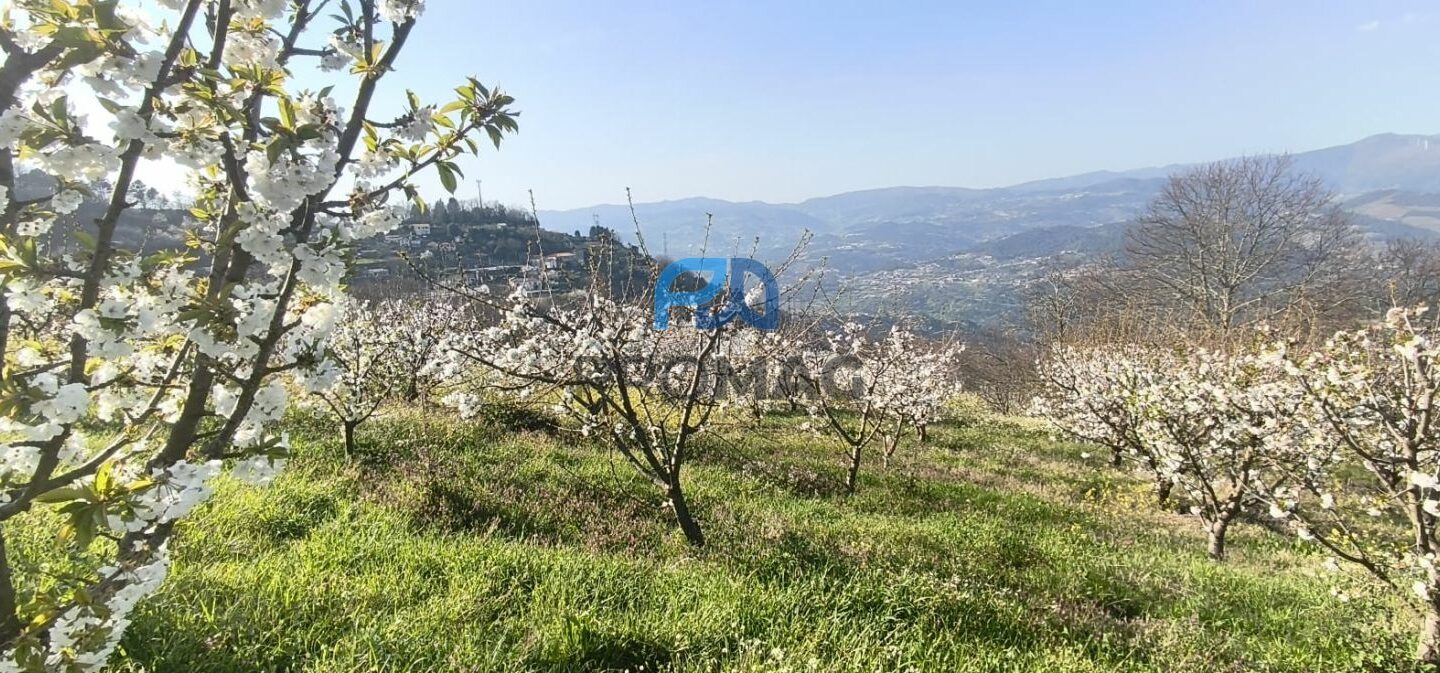 Buildable Plot Of 7,959 M² In Residential And/or Investment Location