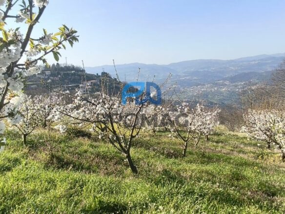 Buildable Plot Of 7,959 M² In Residential And/or Investment Location