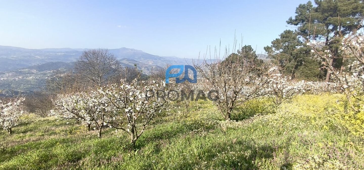 Buildable Plot Of 7,959 M² In Residential And/or Investment Location