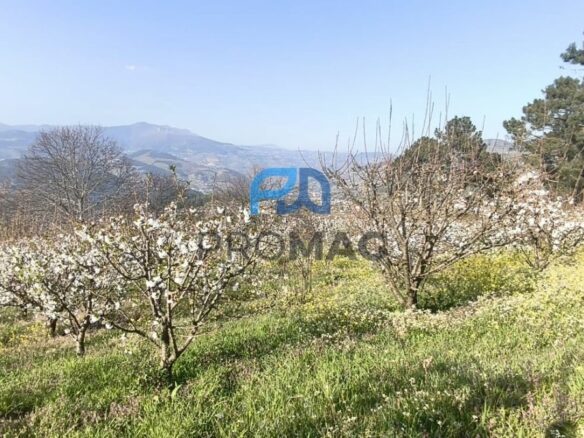 Buildable Plot Of 7,959 M² In Residential And/or Investment Location
