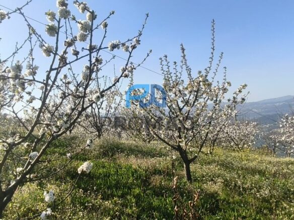 Buildable Plot Of 7,959 M² In Residential And/or Investment Location
