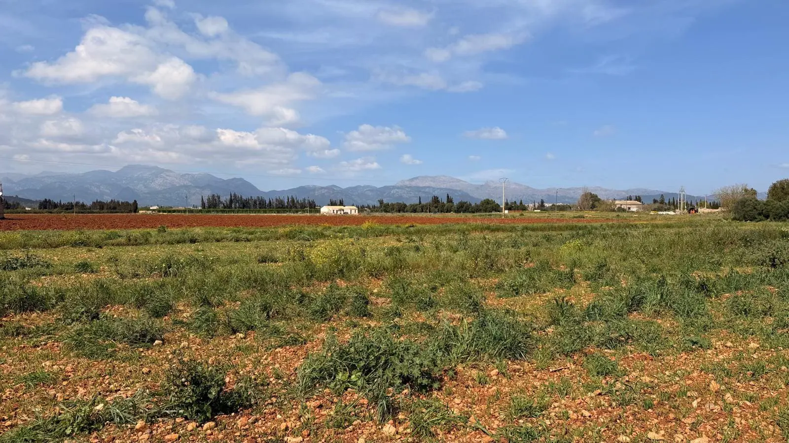 Land Of M² With In Llubi, Spain