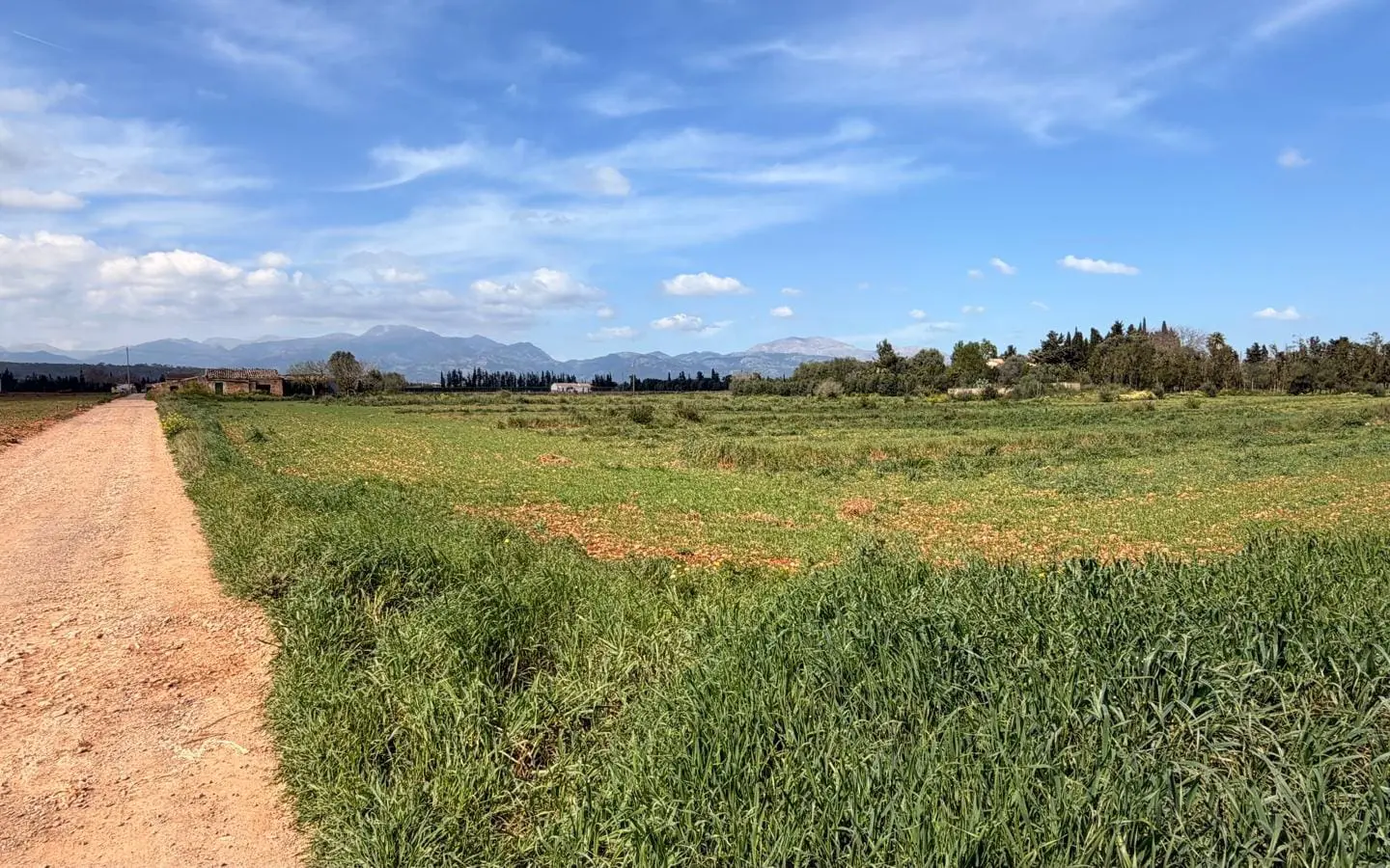 Land In Llubi, Spain (22.033 M² Plot)