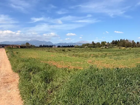 Land In Llubi, Spain (22.033 M² Plot)