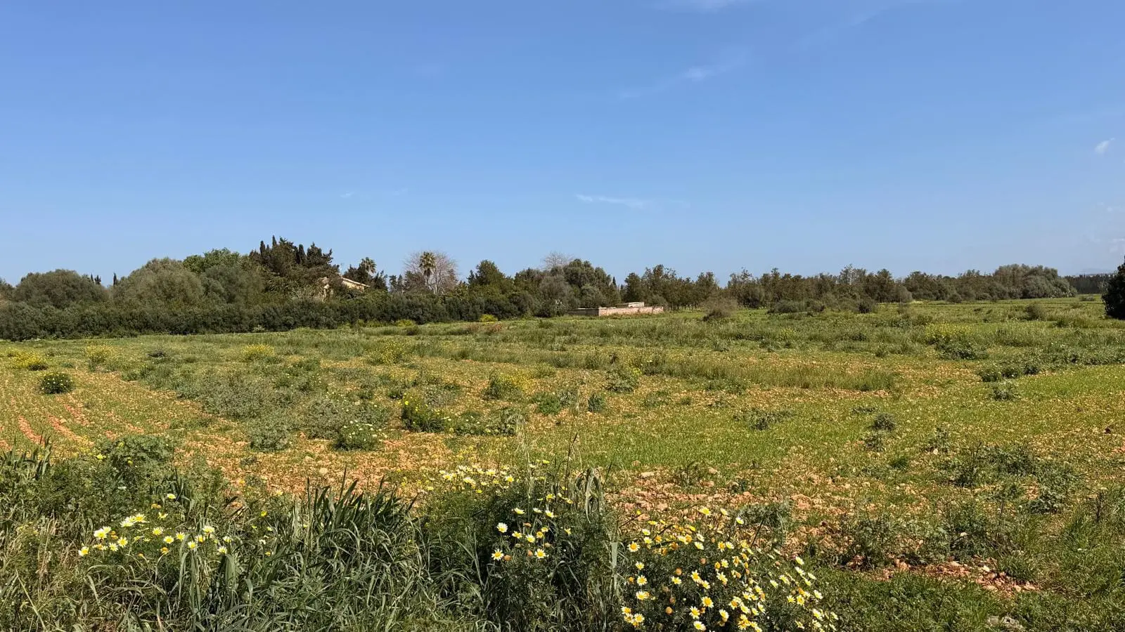 Land Of M² With In Llubi, Spain
