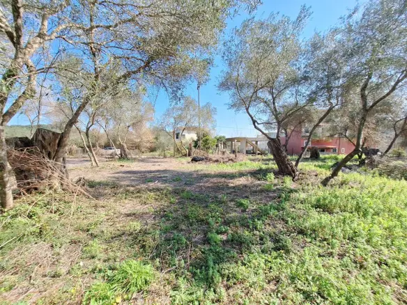 Land In Corfu, Greece