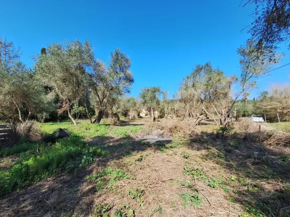 Land In Corfu, Greece