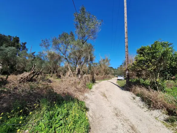 Land In Corfu, Greece
