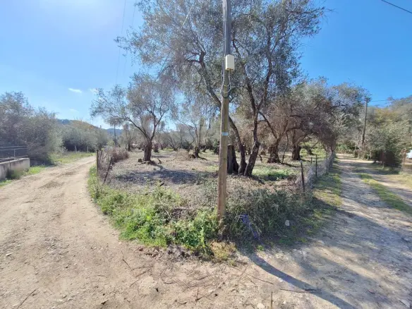 Land In Corfu, Greece