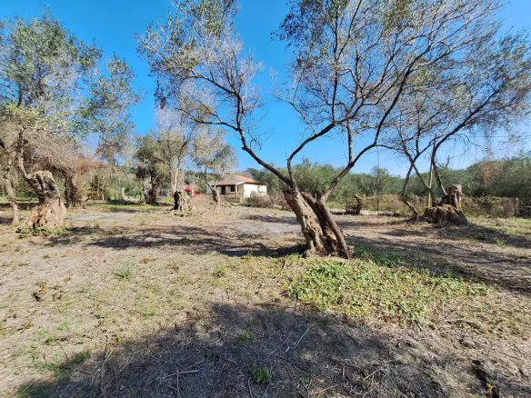 Land In Corfu, Greece