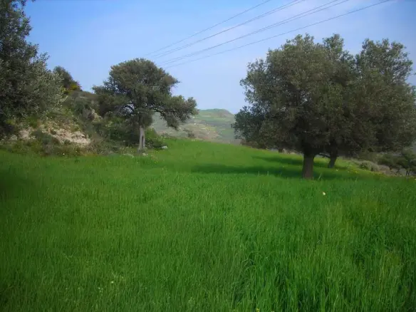 Land In Gortina, Greece