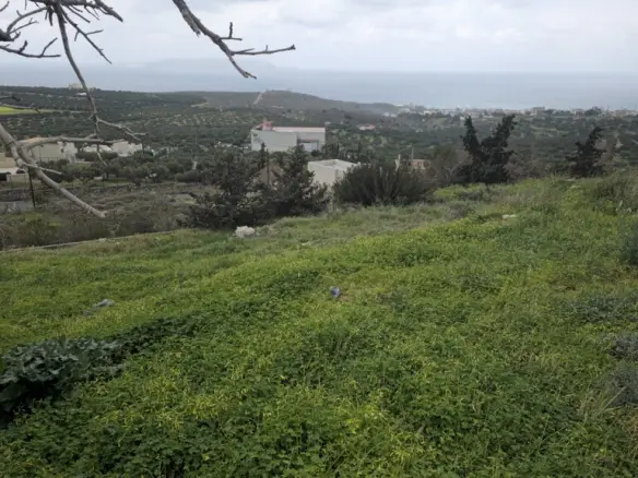 Land In Gouves, Greece