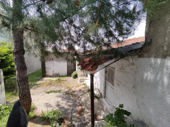 Land In Pylea, Greece