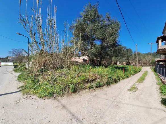 Land In Corfu, Greece