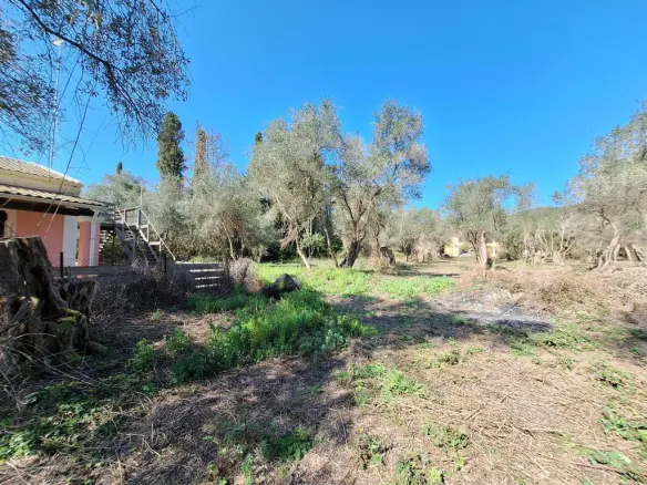 Land In Corfu, Greece