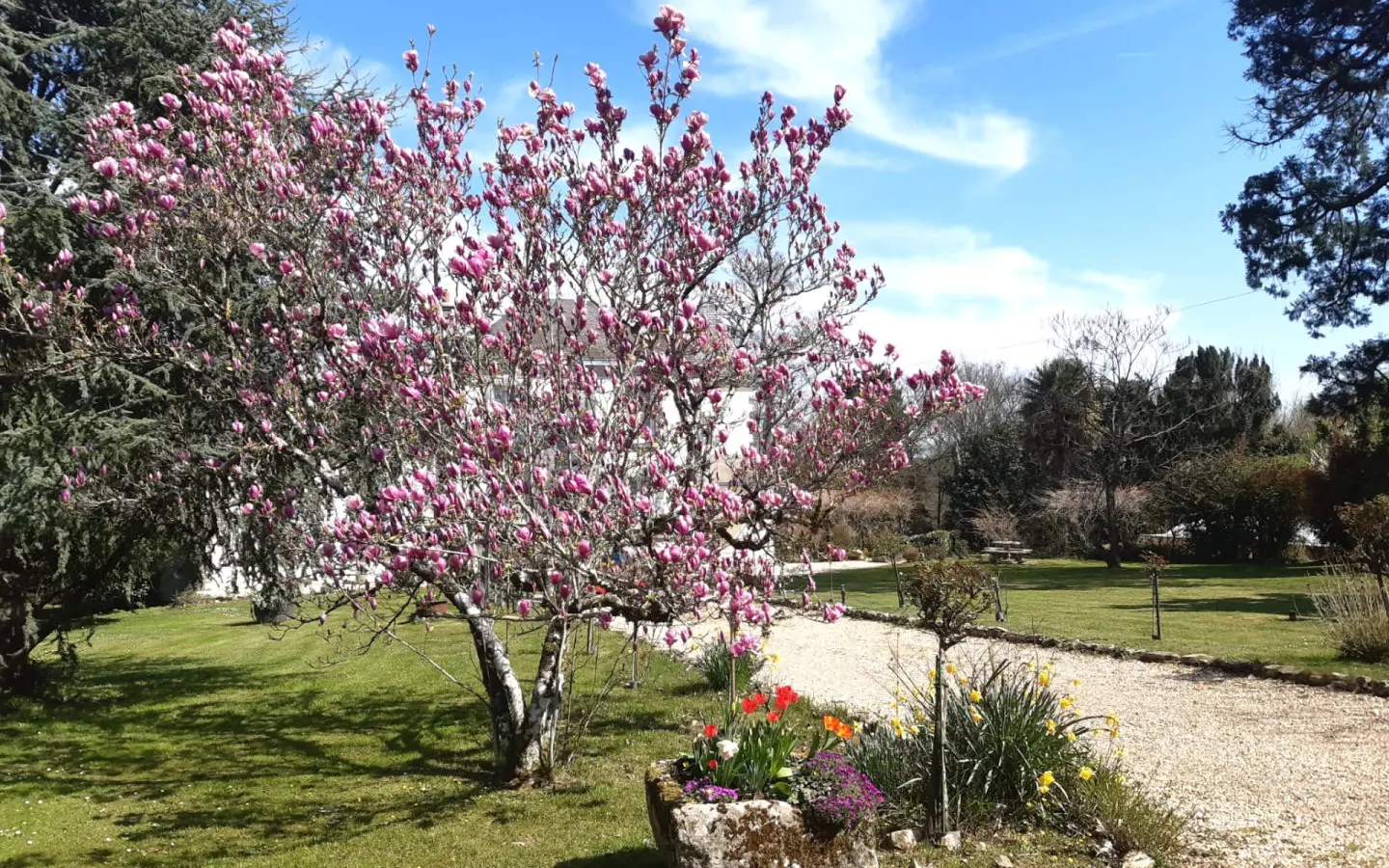 6-bedroom Country House In Condac, France (242 M²)