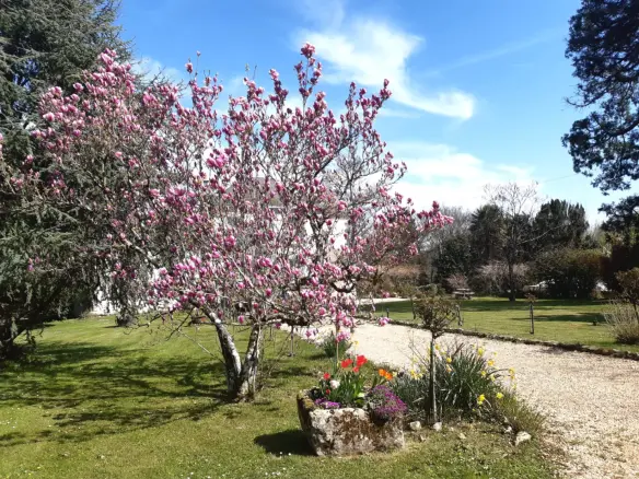 6-bedroom Country House In Condac, France (242 M²)