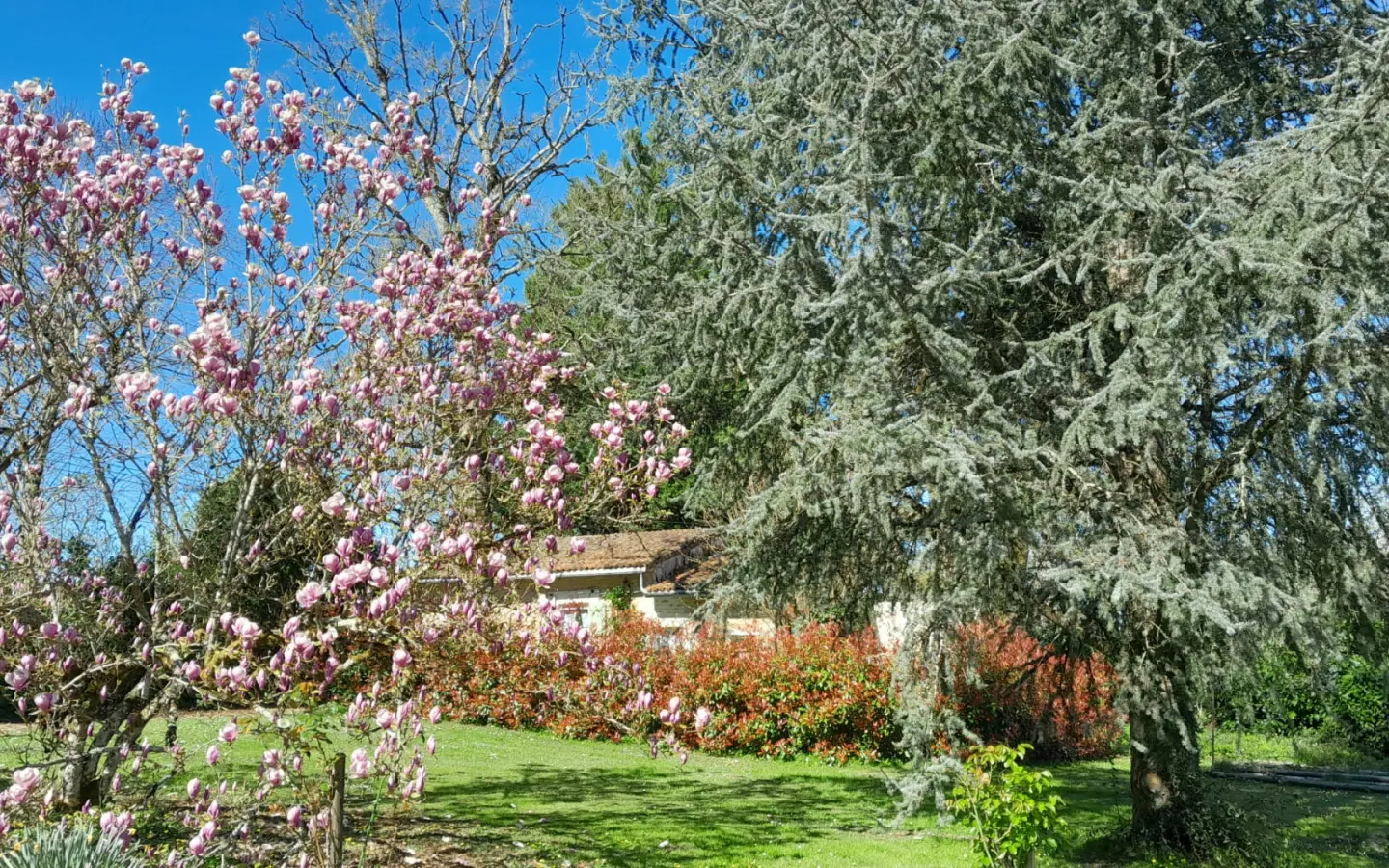 6-bedroom Country House In Condac, France (242 M²)