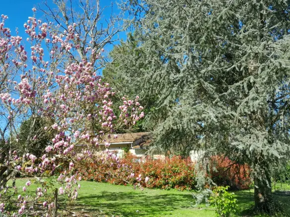 6-bedroom Country House In Condac, France (242 M²)