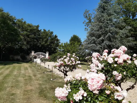 6-bedroom Country House In Condac, France (242 M²)