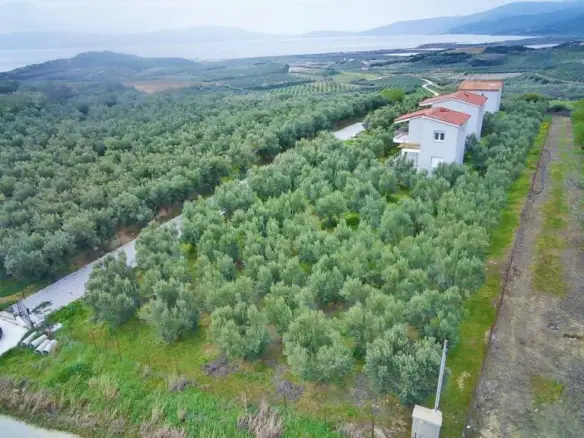 Complex In Orfano, Greece (195 M²)
