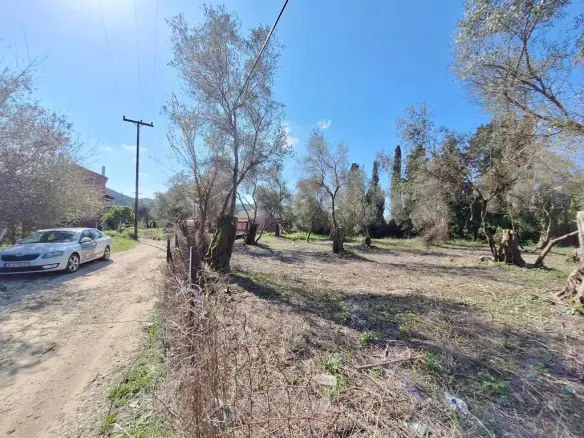 Land In Corfu, Greece