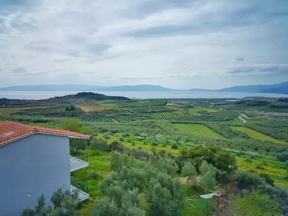 Complex In Orfano, Greece (195 M²)