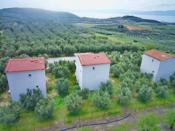 Complex In Orfano, Greece (195 M²)