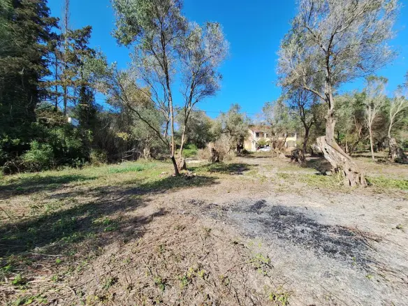 Land In Corfu, Greece