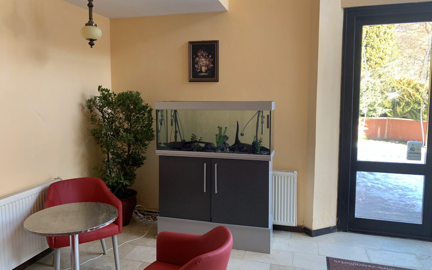 Guesthouse Of 3 Stars With Turnkey Business Opportunity In A Dream Natural Setting