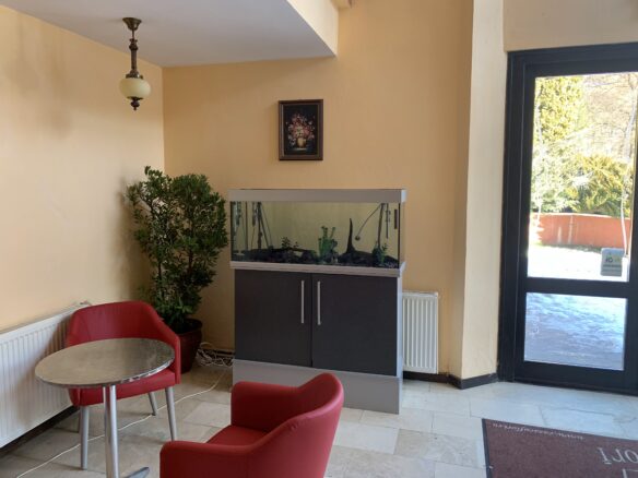 Guesthouse Of 3 Stars With Turnkey Business Opportunity In A Dream Natural Setting