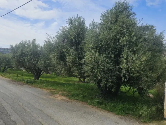Land In Chersonisos, Greece
