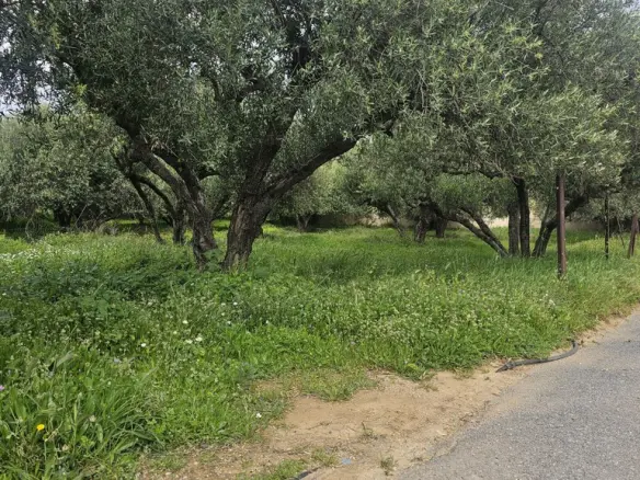 Land In Chersonisos, Greece