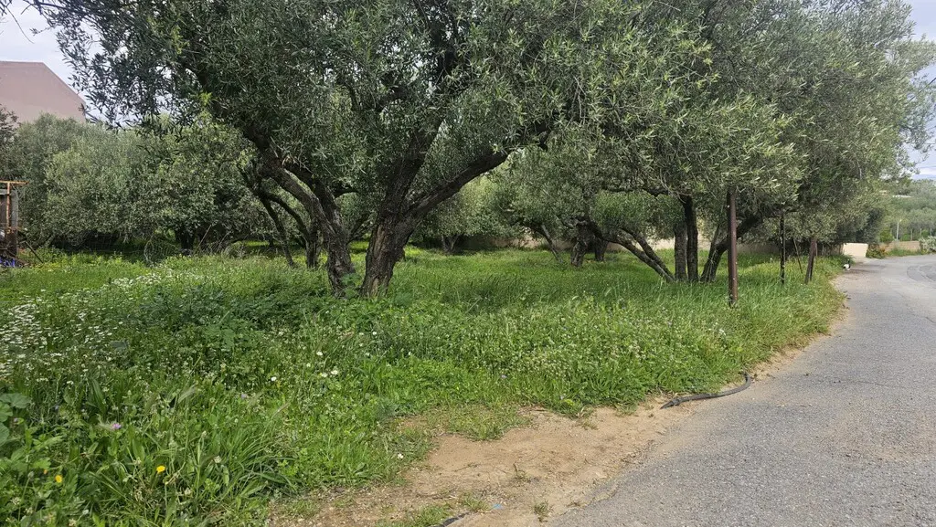 Land Of 724 M² In Crete