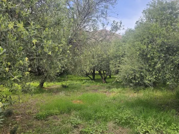 Land In Chersonisos, Greece