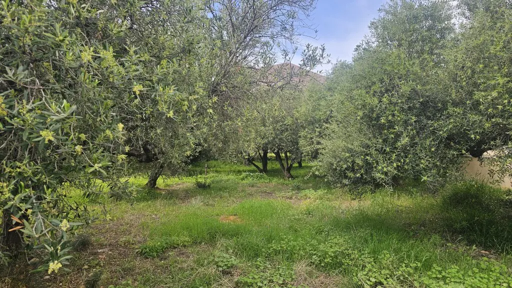 Land Of 724 M² In Crete