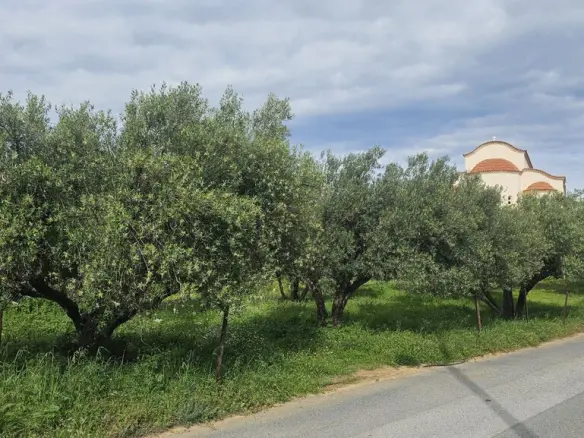Land In Chersonisos, Greece