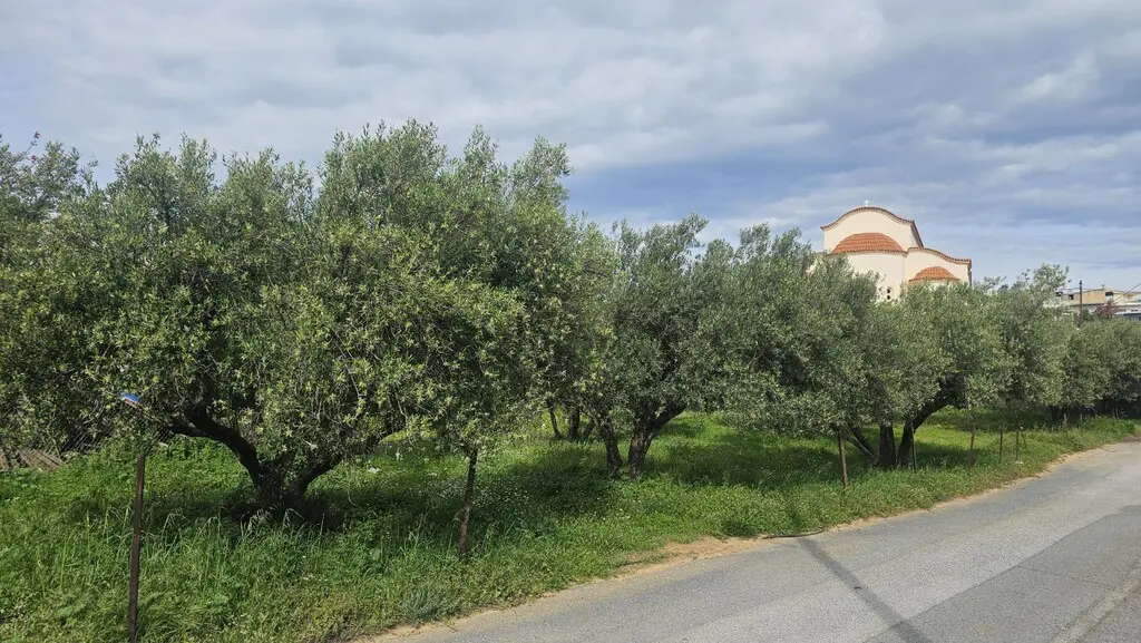 Land Of 724 M² In Crete