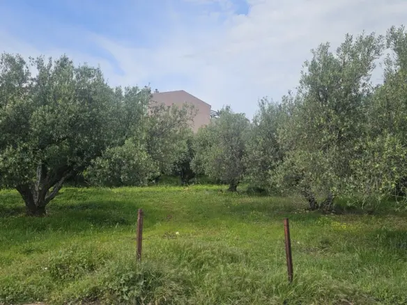 Land In Chersonisos, Greece