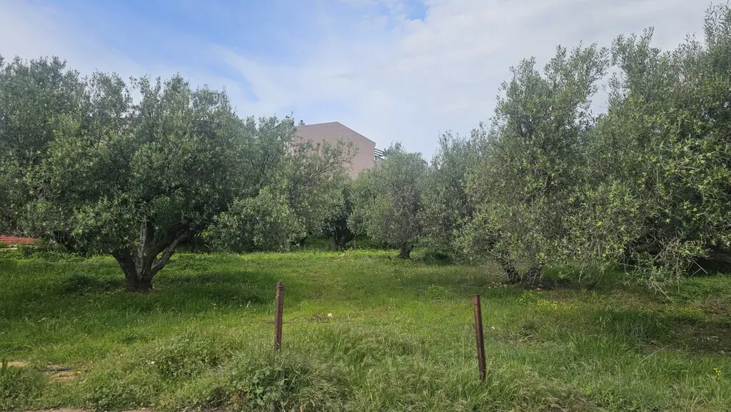 Land Of 724 M² In Crete