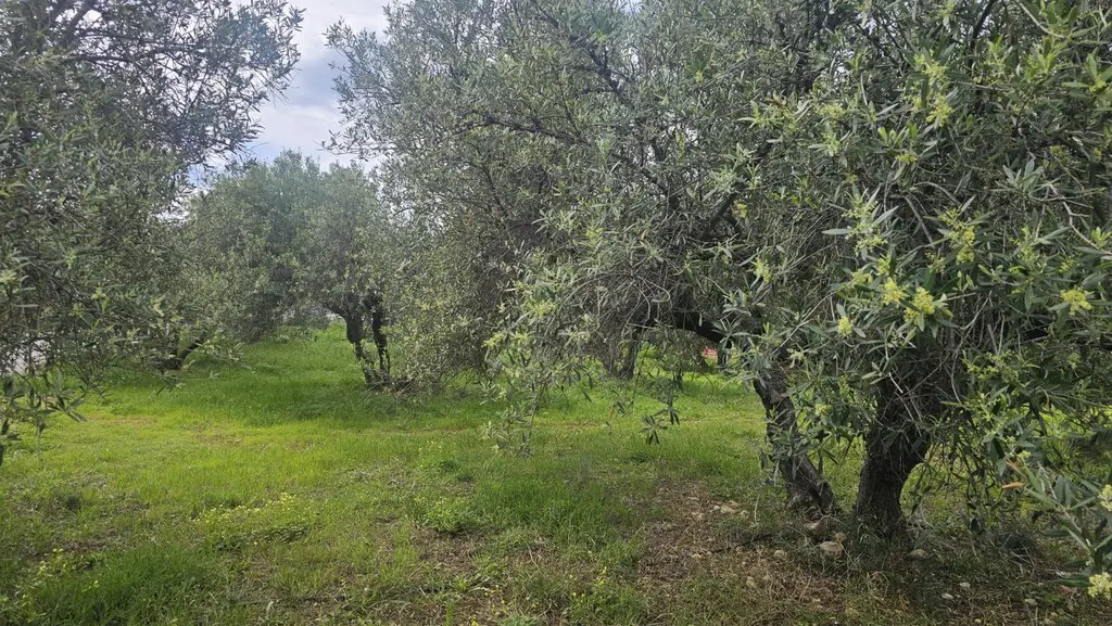 Land Of 724 M² In Crete