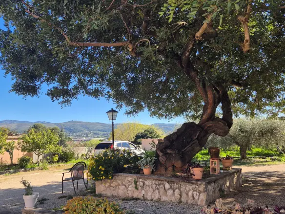 Villa Of 247 M² In Ontinyent, Spain